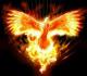 MN Phoenix's Avatar