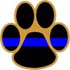 Kodiak198's Avatar