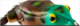 Fish The Frog,Be The Frog's Avatar